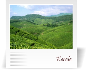 deccan-travels-corporation-kerala-tea-travel-tour-package-nashik