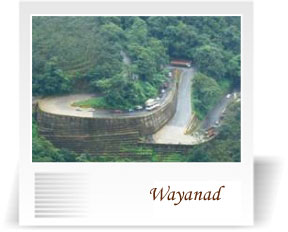 deccan-travels-corporation-wayanad-coorg-nashik