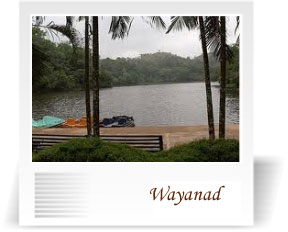 deccan-travels-corporation-wayanad-coorg-mangalore-nashik