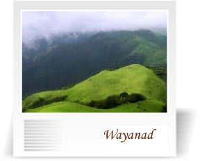 deccan-travels-corporation-best-deals-wayanad-coorg