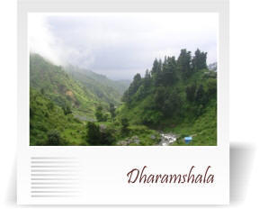 deccan-travels-corporation-dharmashala-nashik-india